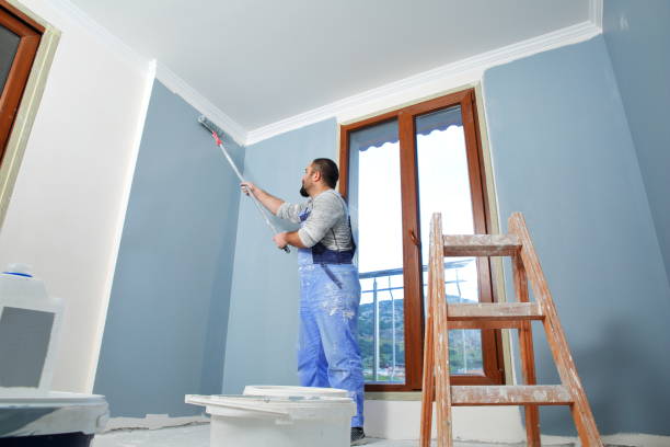 Professional Drywall and Painting Service in St Charles, MI